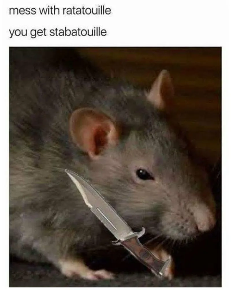 The chaotic energy of the New York rat meme