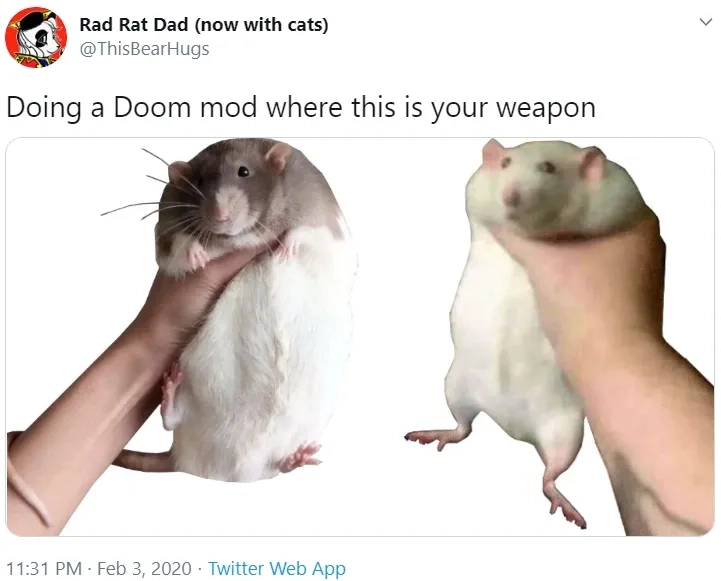 A surprisingly relatable sad rat meme
