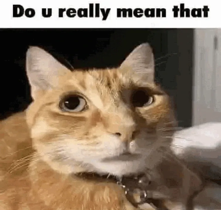 The iconic seth and amy really meme from Saturday Night Live