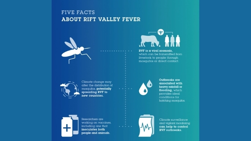 Supportive Rift Valley Fever treatment