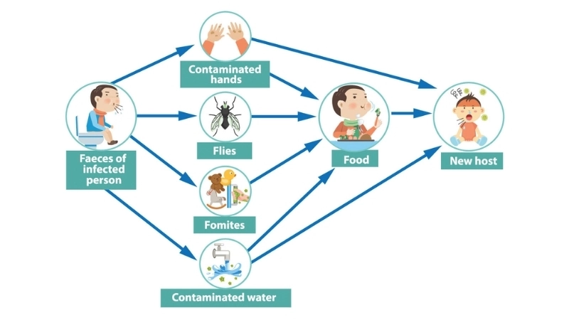 Rotavirus Infection with common rotavirus symptoms