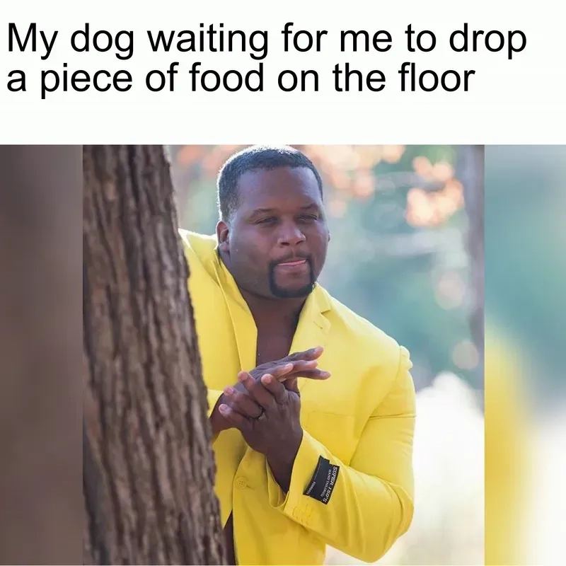 The iconic birdman rubbing hands meme