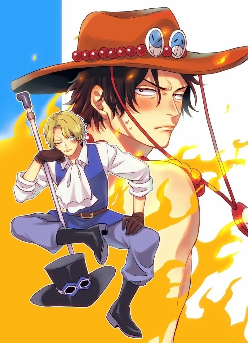 See the significance of Sabo Vivre card in story