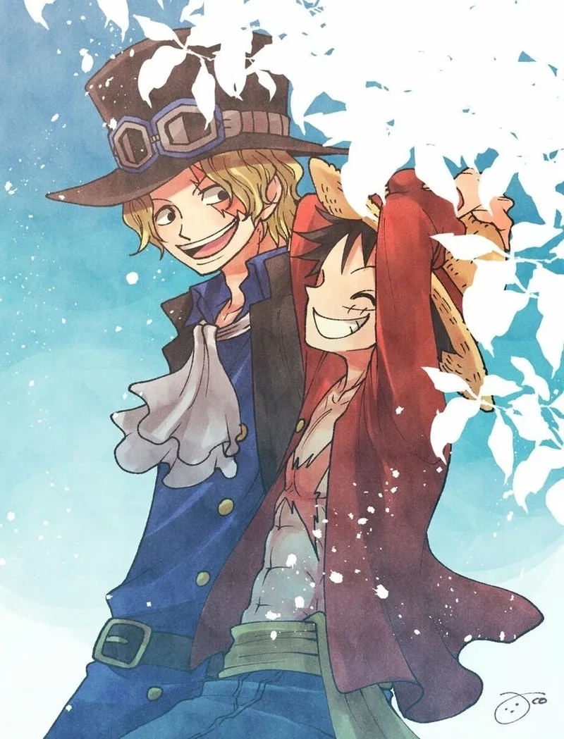 Enjoy highlights of Sabo manga chapters online