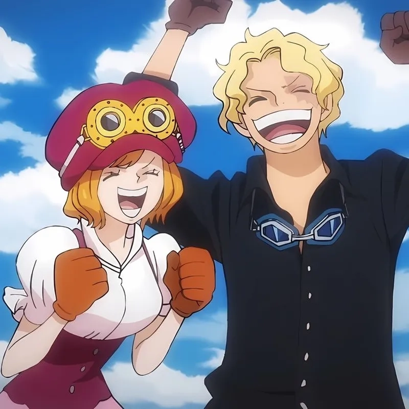 Experience the mighty Sabo power in battles