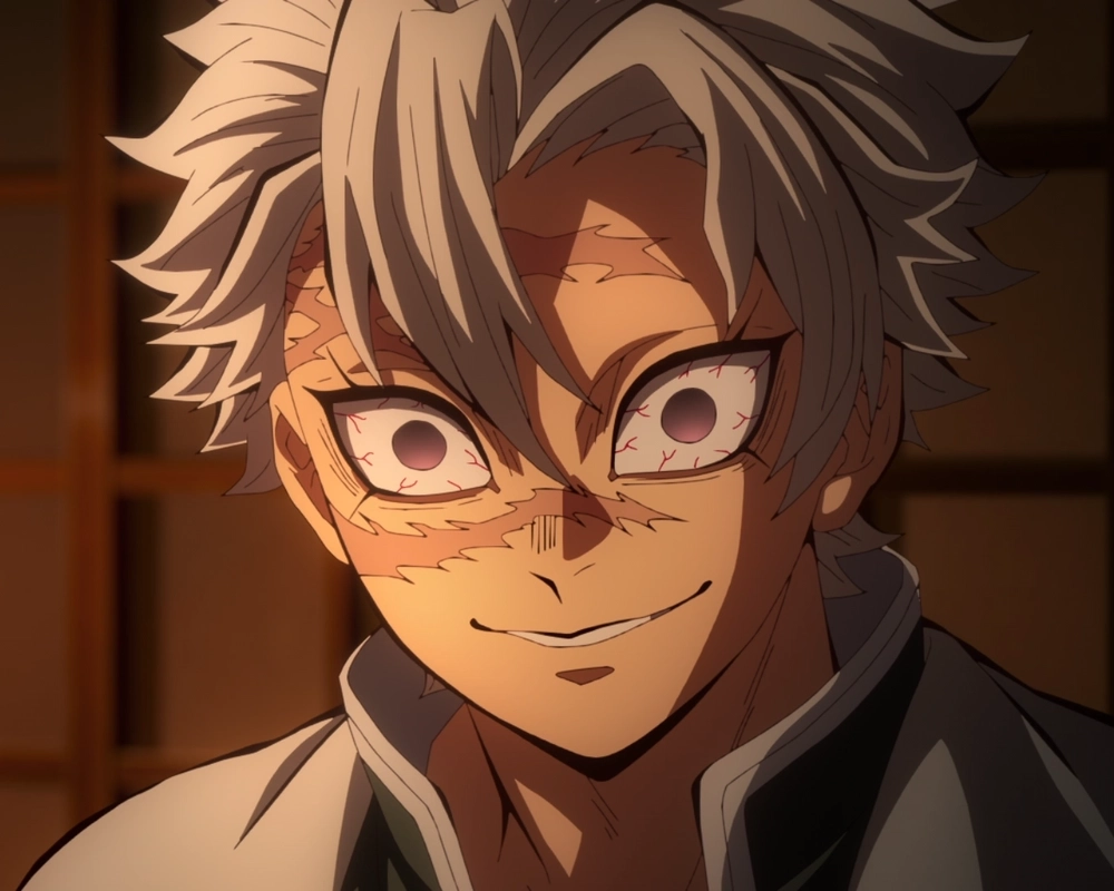 Collect the limited sanemi funko pop