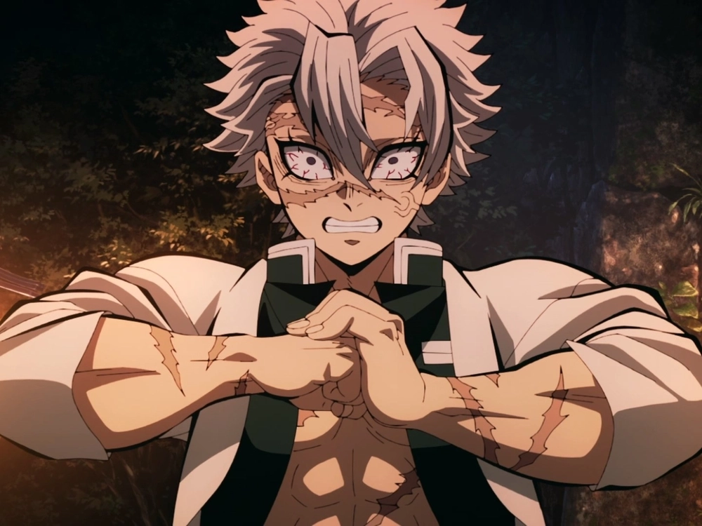 Celebrate together on sanemi birthday