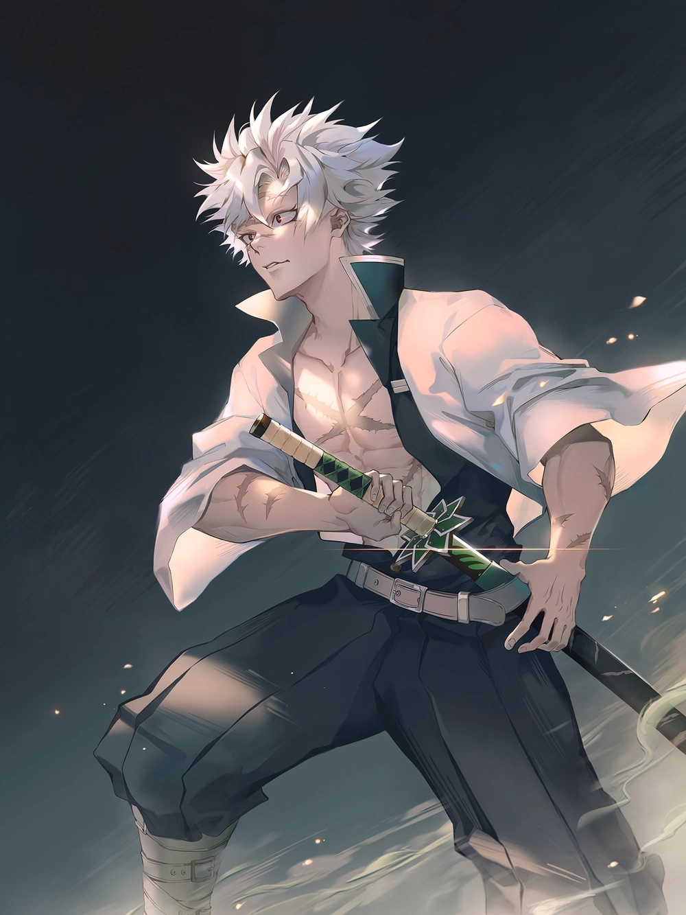 Learn the past in sanemi backstory