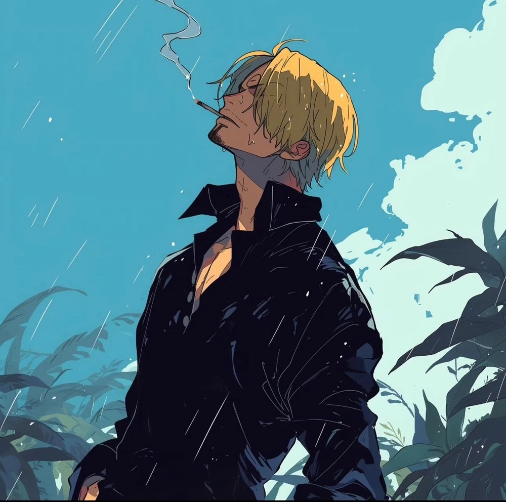 Watch intense fight of zoro vs sanji unfold