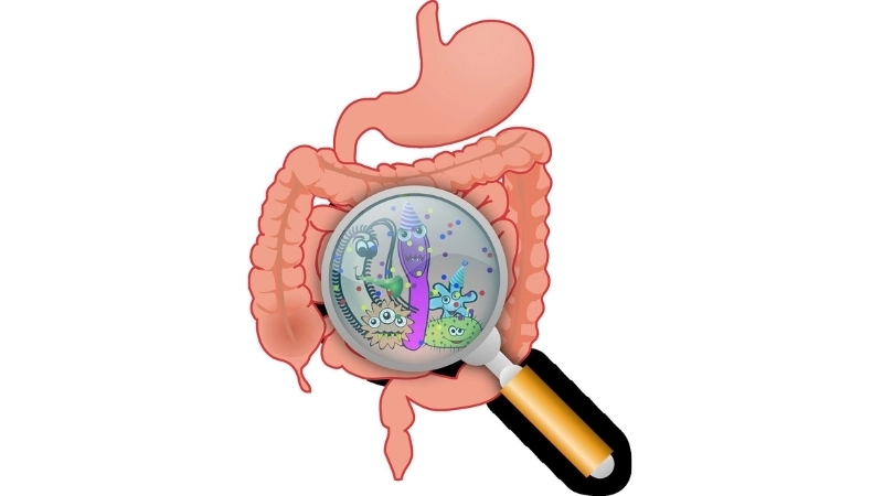 Sapovirus Infection confirmed by Sapovirus diagnosis