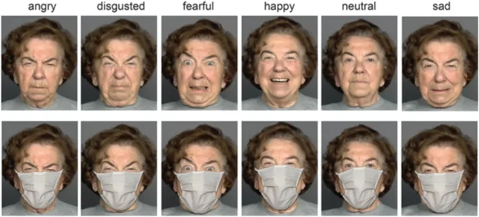 An overview of the causes of schizophrenia