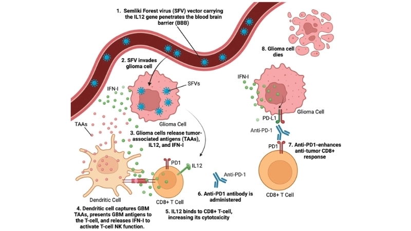Tips for Semliki Forest Virus Disease prevention