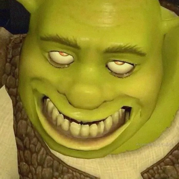 Using the shrek looking at donkey meme