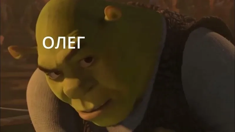 The perfect shrek looking at donkey meme