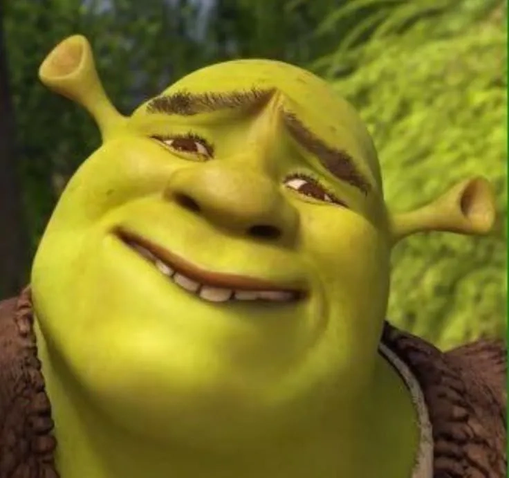 A blank shrek template for your ideas