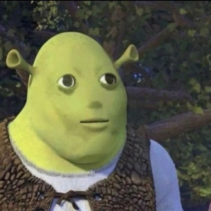 A collection of shrek funny memes