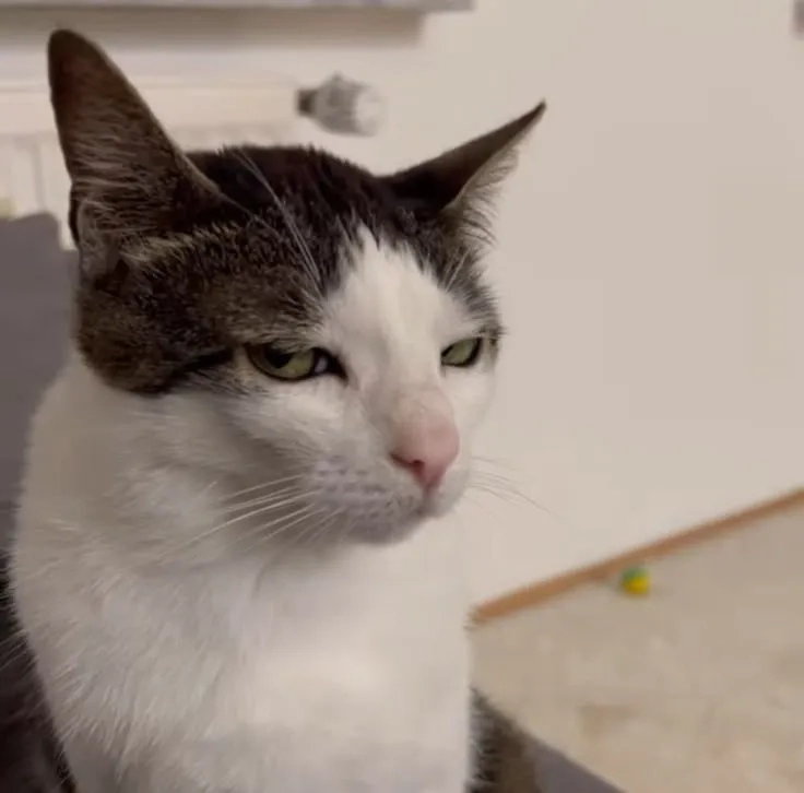 Explaining the side eye meaning with one look