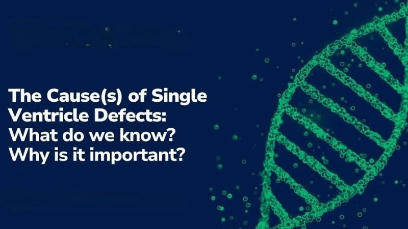 Single ventricle defects treatment options and outcomes