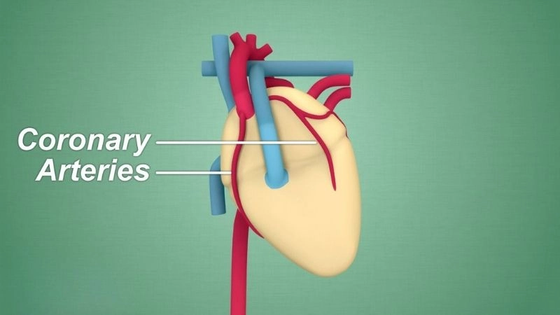 Hopeful journey of SCAD recovery stories