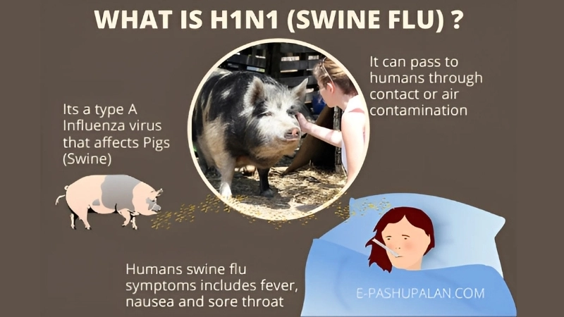 Was swine flu a pandemic that hit globally
