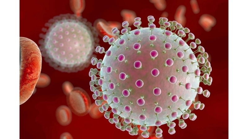 Tahyna Virus Infection with key Tahyna virus symptoms