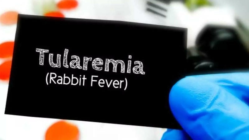 Recognizing the clinical signs and tularemia symptoms
