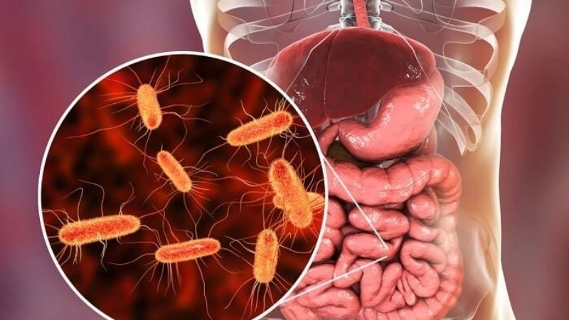 Viral Gastroenteritis treatment stomach flu