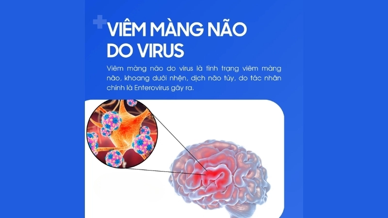 Protect yourself from bacterial meningitis today