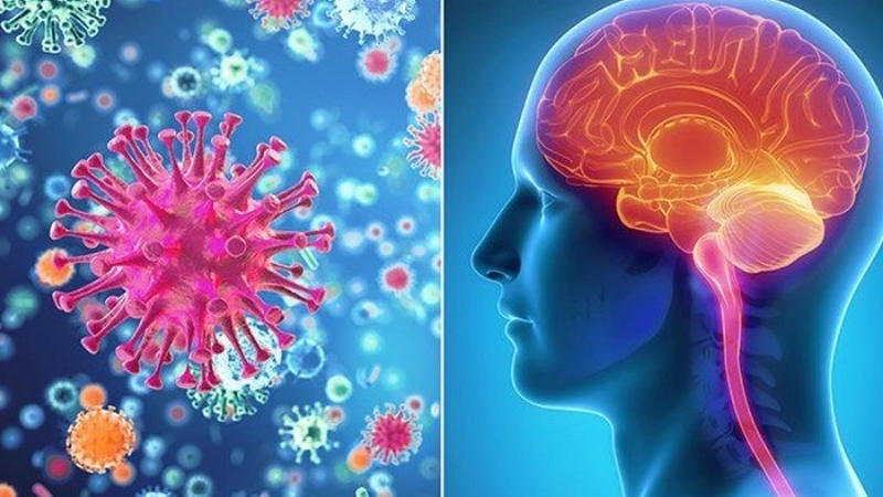 Know risks of meningitis in adults now