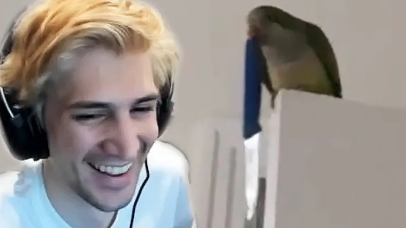A shareable xqc gif for your friends