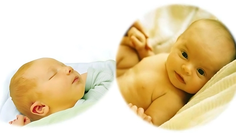 Stay updated on yellow fever outbreak news