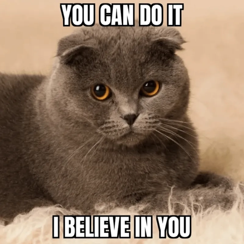 The classic you can do it meme template