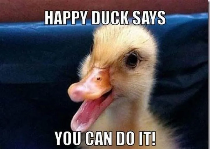 The perfect motivational meme for any situation