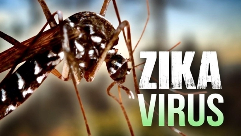 Medical slide on the long term effects of Zika