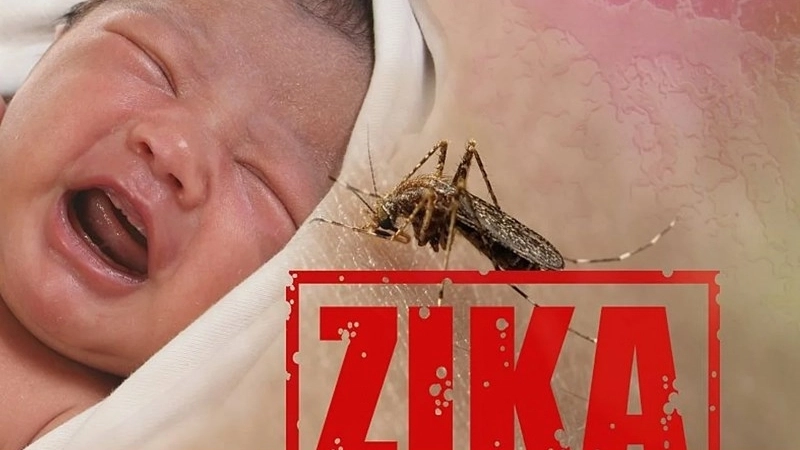 A close-up image of Zika virus mosquito bite pictures